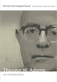 Theodor W. Adorno: An Introduction 